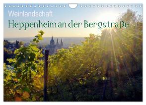 Weinlandschaft – Heppenheim an der Bergstraße (Wandkalender 2024 DIN A4 quer), CALVENDO Monatskalender von Jährling,  Dagmar