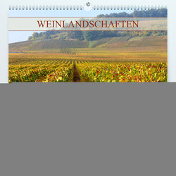 Weinlandschaften (Premium, hochwertiger DIN A2 Wandkalender 2024, Kunstdruck in Hochglanz) von Schittenhelm,  Elisabeth