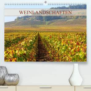 Weinlandschaften (Premium, hochwertiger DIN A2 Wandkalender 2024, Kunstdruck in Hochglanz) von Schittenhelm,  Elisabeth