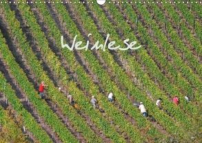 Weinlese (Wandkalender 2018 DIN A3 quer) von v.d. Lese,  Hans
