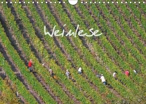 Weinlese (Wandkalender 2018 DIN A4 quer) von v.d. Lese,  Hans