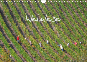 Weinlese (Wandkalender 2022 DIN A4 quer) von v.d. Lese,  Hans