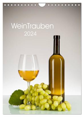 WeinTrauben 2024 (Wandkalender 2024 DIN A4 hoch), CALVENDO Monatskalender von Steiner,  Wolfgang