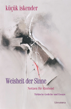 Weisheit der Sinne. Notizen für Rimbaud von Caner,  Beatrix, kücük,  iskender