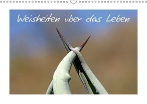 Weisheiten über das Leben / CH-Version (Wandkalender 2018 DIN A3 quer) von Kaiser,  Ralf