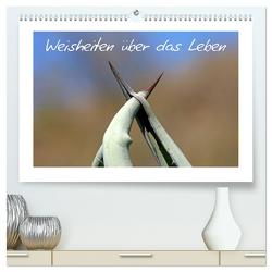 Weisheiten über das Leben (hochwertiger Premium Wandkalender 2024 DIN A2 quer), Kunstdruck in Hochglanz von Kaiser,  Ralf