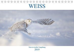 WEISS (Tischkalender 2019 DIN A5 quer) von Vollborn,  Marion