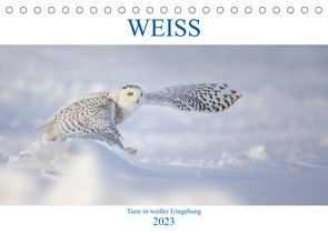 WEISS (Tischkalender 2023 DIN A5 quer) von Vollborn,  Marion