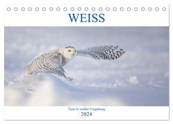 WEISS (Tischkalender 2024 DIN A5 quer), CALVENDO Monatskalender von Vollborn,  Marion