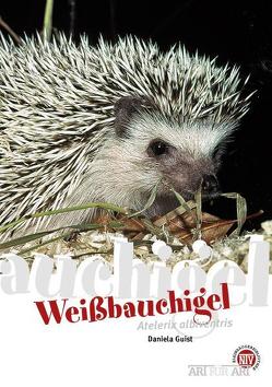 Weißbauchigel von Guist,  Daniela