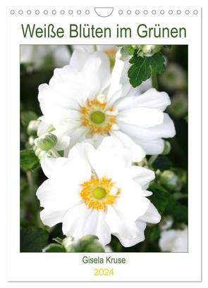 Weiße Blüten im Grünen (Wandkalender 2024 DIN A4 hoch), CALVENDO Monatskalender von Kruse,  Gisela