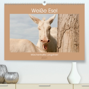 Weiße Esel – Märchenhafte Langohren (Premium, hochwertiger DIN A2 Wandkalender 2021, Kunstdruck in Hochglanz) von Bölts,  Meike