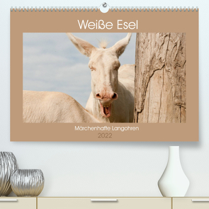 Weiße Esel – Märchenhafte Langohren (Premium, hochwertiger DIN A2 Wandkalender 2022, Kunstdruck in Hochglanz) von Bölts,  Meike