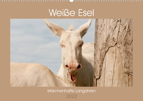Weiße Esel – Märchenhafte Langohren (Wandkalender 2023 DIN A2 quer) von Bölts,  Meike
