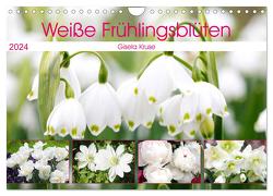 Weiße Frühlingsblüten (Wandkalender 2024 DIN A4 quer), CALVENDO Monatskalender von Kruse,  Gisela