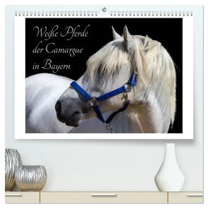Weiße Pferde der Camargue in Bayern (hochwertiger Premium Wandkalender 2024 DIN A2 quer), Kunstdruck in Hochglanz von brigitte jaritz,  photography