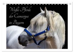Weiße Pferde der Camargue in Bayern (Tischkalender 2024 DIN A5 quer), CALVENDO Monatskalender von brigitte jaritz,  photography