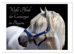 Weiße Pferde der Camargue in Bayern (Wandkalender 2024 DIN A3 quer), CALVENDO Monatskalender von brigitte jaritz,  photography