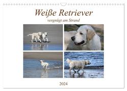 Weiße Retriever vergnügt am Strand (Wandkalender 2024 DIN A3 quer), CALVENDO Monatskalender von SchnelleWelten,  SchnelleWelten