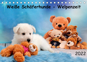 Weiße Schäferhunde – Welpenzeit (Tischkalender 2022 DIN A5 quer) von Hachmeyer,  Diana