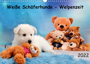 Weiße Schäferhunde – Welpenzeit (Wandkalender 2022 DIN A3 quer) von Hachmeyer,  Diana