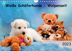 Weiße Schäferhunde – Welpenzeit (Wandkalender 2023 DIN A4 quer) von Hachmeyer,  Diana