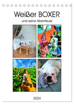 Weißer BOXER (Tischkalender 2024 DIN A5 hoch), CALVENDO Monatskalender von L.,  Manuela