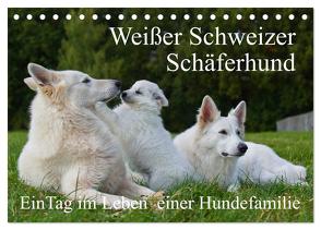 Weißer Schweizer Schäferhund – Ein Tag im Leben einer Hundefamilie (Tischkalender 2024 DIN A5 quer), CALVENDO Monatskalender von Starick,  Sigrid