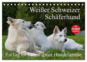 Weißer Schweizer Schäferhund – Ein Tag im Leben einer Hundefamilie (Tischkalender 2024 DIN A5 quer), CALVENDO Monatskalender von Starick,  Sigrid