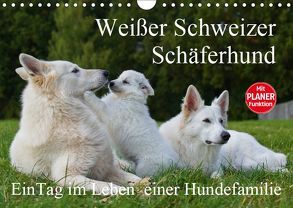 Weißer Schweizer Schäferhund – Ein Tag im Leben einer Hundefamilie (Wandkalender 2019 DIN A4 quer) von Starick,  Sigrid