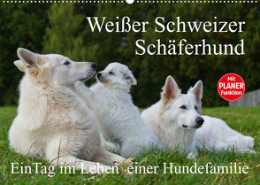 Weißer Schweizer Schäferhund – Ein Tag im Leben einer Hundefamilie (Wandkalender 2023 DIN A2 quer) von Starick,  Sigrid