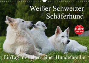 Weißer Schweizer Schäferhund – Ein Tag im Leben einer Hundefamilie (Wandkalender 2023 DIN A3 quer) von Starick,  Sigrid