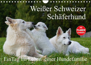 Weißer Schweizer Schäferhund – Ein Tag im Leben einer Hundefamilie (Wandkalender 2023 DIN A4 quer) von Starick,  Sigrid