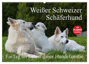 Weißer Schweizer Schäferhund – Ein Tag im Leben einer Hundefamilie (Wandkalender 2024 DIN A2 quer), CALVENDO Monatskalender von Starick,  Sigrid