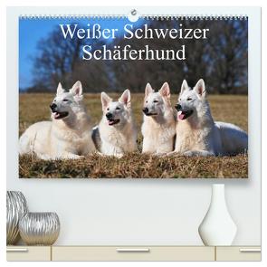 Weißer Schweizer Schäferhund (hochwertiger Premium Wandkalender 2024 DIN A2 quer), Kunstdruck in Hochglanz von Starick,  Sigrid