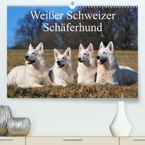 Weißer Schweizer Schäferhund (Premium, hochwertiger DIN A2 Wandkalender 2023, Kunstdruck in Hochglanz) von Starick,  Sigrid