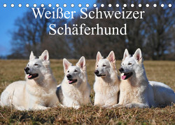 Weißer Schweizer Schäferhund (Tischkalender 2023 DIN A5 quer) von Starick,  Sigrid