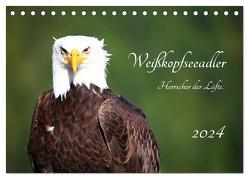 Weißkopfseeadler. Herrscher der Lüfte. 2024 (Tischkalender 2024 DIN A5 quer), CALVENDO Monatskalender von Anders,  Holm