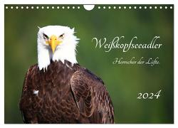 Weißkopfseeadler. Herrscher der Lüfte. 2024 (Wandkalender 2024 DIN A4 quer), CALVENDO Monatskalender von Anders,  Holm