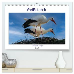 Weißstorch, der stolze Flieger (hochwertiger Premium Wandkalender 2024 DIN A2 quer), Kunstdruck in Hochglanz von Geggier,  Mirjam