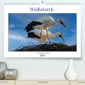 Weißstorch, der stolze Flieger (Premium, hochwertiger DIN A2 Wandkalender 2023, Kunstdruck in Hochglanz) von Geggier,  Mirjam
