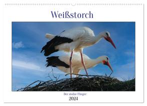 Weißstorch, der stolze Flieger (Wandkalender 2024 DIN A2 quer), CALVENDO Monatskalender von Geggier,  Mirjam