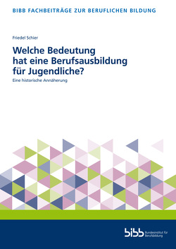 Welche Bedeutung hat eine Berufsausbildung für Jugendliche? von Schier,  Friedel