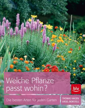 Welche Pflanze passt wohin? von Borstell,  Ursel, Hagen,  Thomas