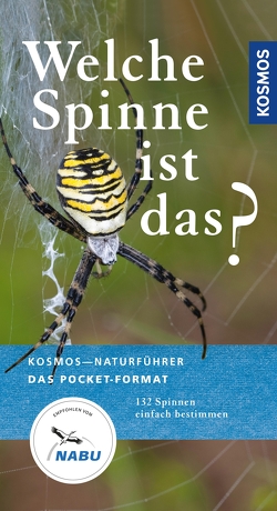 Welche Spinne ist das? von Baehr,  Martin