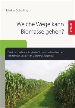 Welche Wege kann Biomasse gehen? von Schorling,  Markus