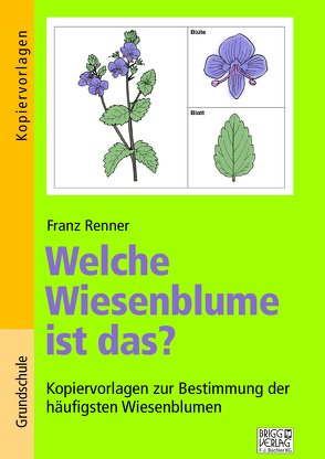 Welche Wiesenblume ist das? von Renner,  Franz