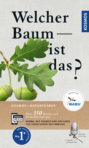 Welcher Baum ist das? von Spohn,  Dr. Roland, Spohn,  Margot