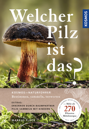 Welcher Pilz ist das? von Flück,  Markus