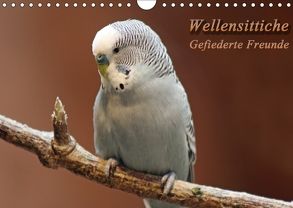 Wellensittiche – Gefiederte Freunde (Wandkalender 2018 DIN A4 quer) von Mielewczyk,  Barbara
